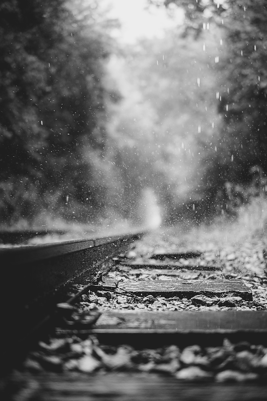 Rainy monochrome scene