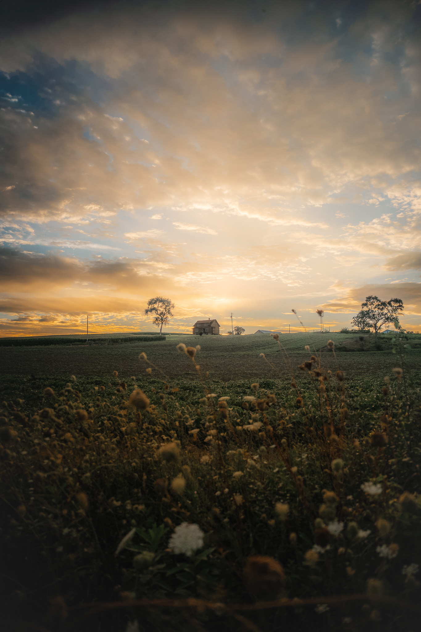 Sunset over a Wisconsin field
